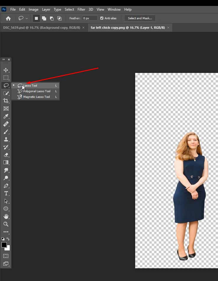 Select the lasso tool from the toolbar in photoshop